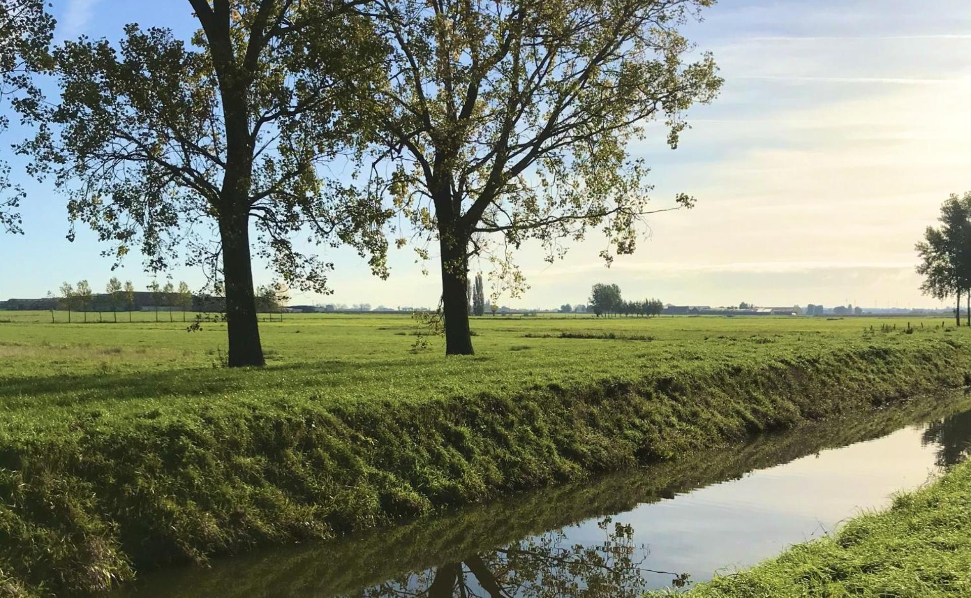 'T Cappellelandhof Villa Lo-Reninge Eksteriør billede